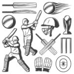 GoPlay11 mobile application with sports gaming menu and cricket-themed interface.